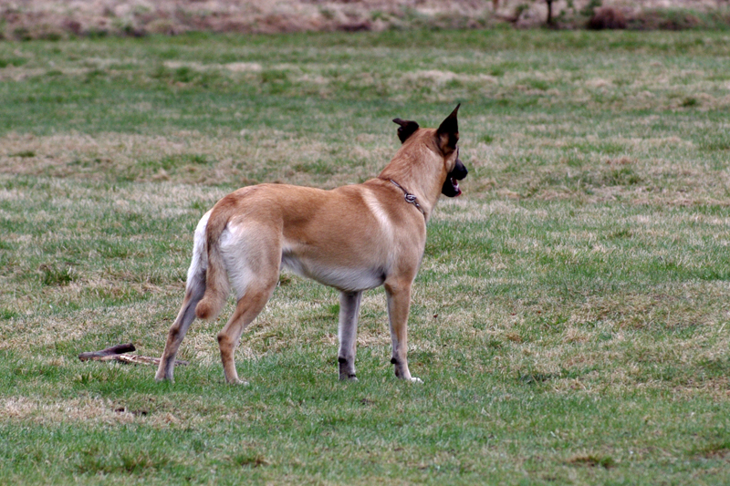 8.5.2010 073c.jpg